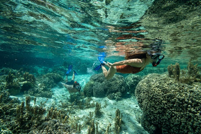 Luxury Private Snorkeling Lagoon Tour | Reef Discovery