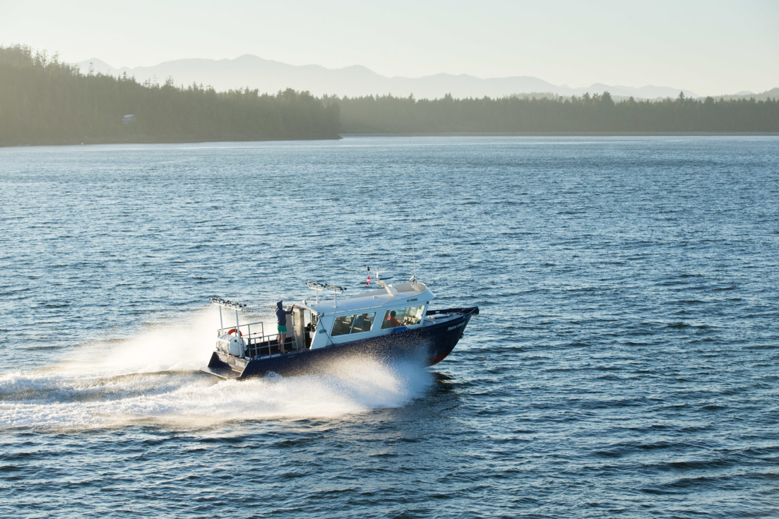 Tofino Cruiser Whale Watching | Jamie's Whaling Station