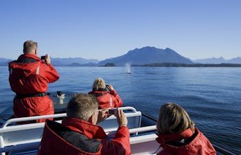 Tourists whale watching a Gray Whale {Eschrichtius robustus}