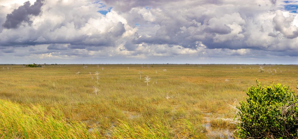 Everglades National Park - 2021