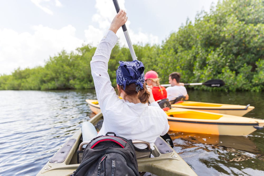 EVERGLADES, FLORIDA, USA - AUGUST 31: Tourist kayaking in mangrove forest on August 31, 2014 in Everglades, Florida, USA.