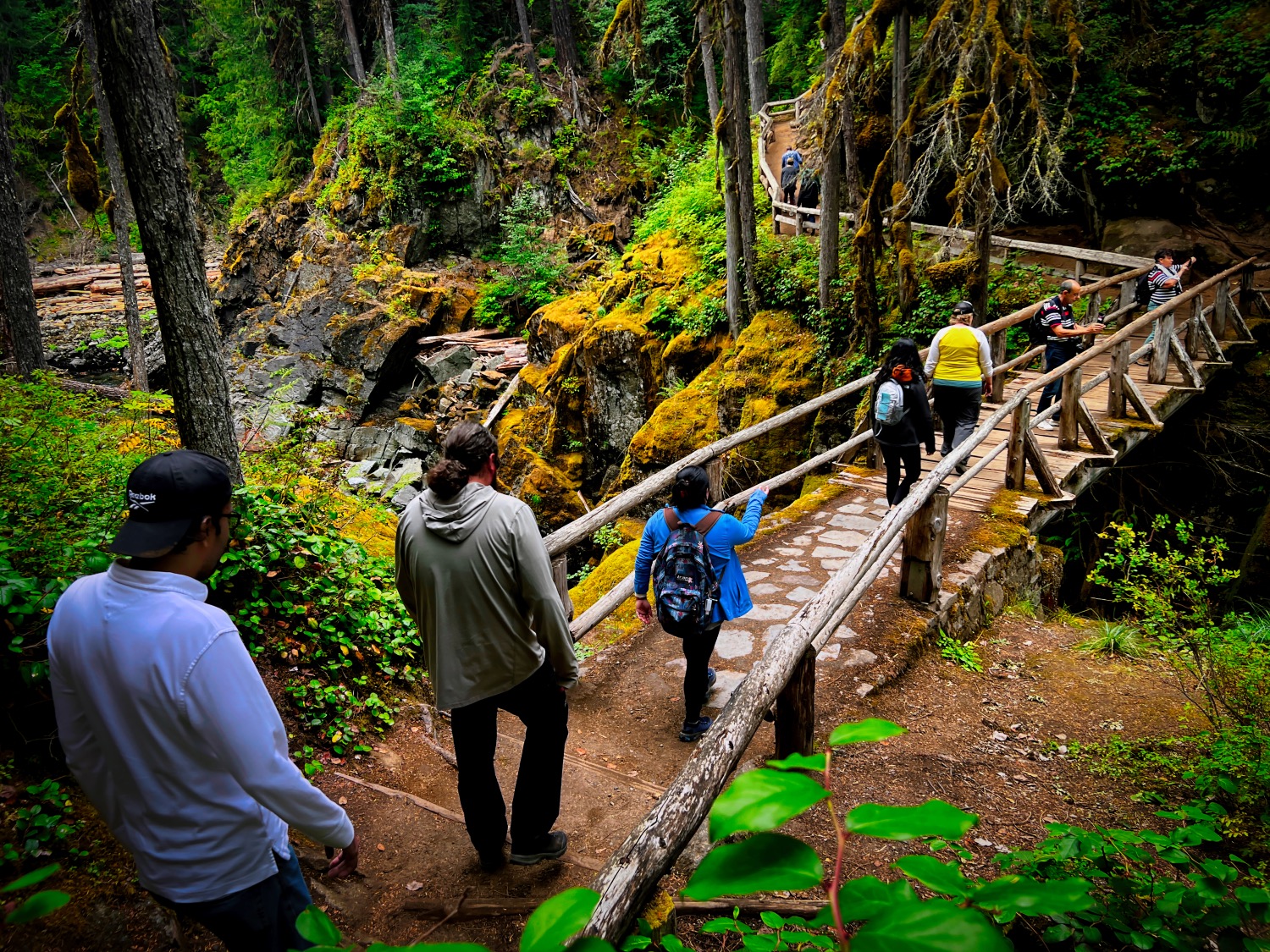 a group of people in a forest