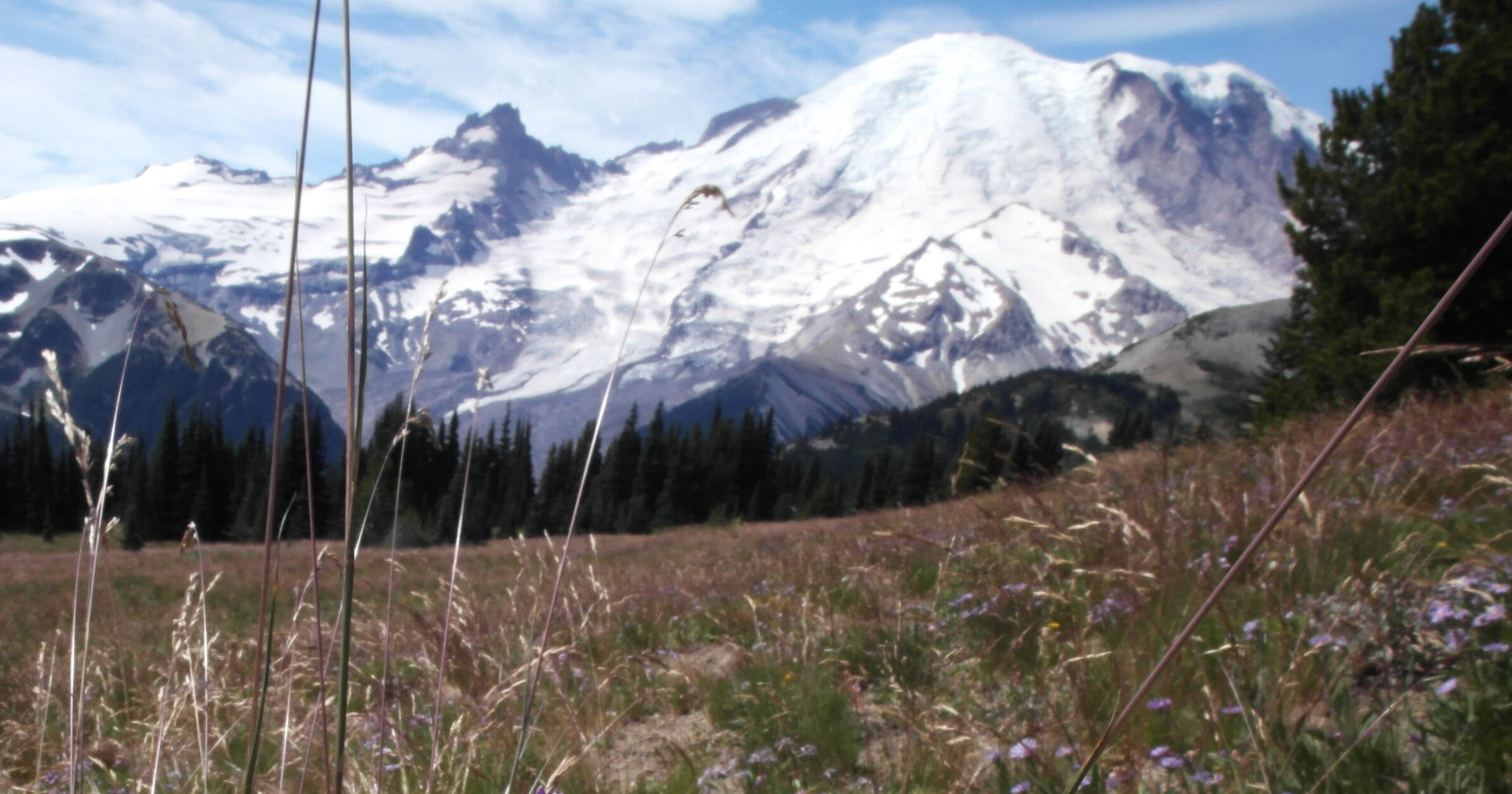 Full Seasonal Guide to Visiting Mount Rainier National Park