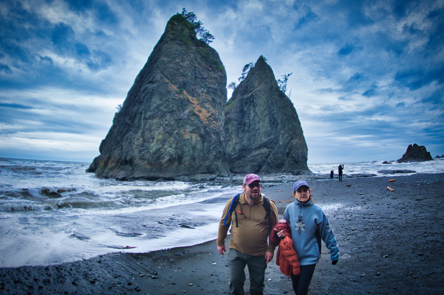 hoh rainforest tour from seattle