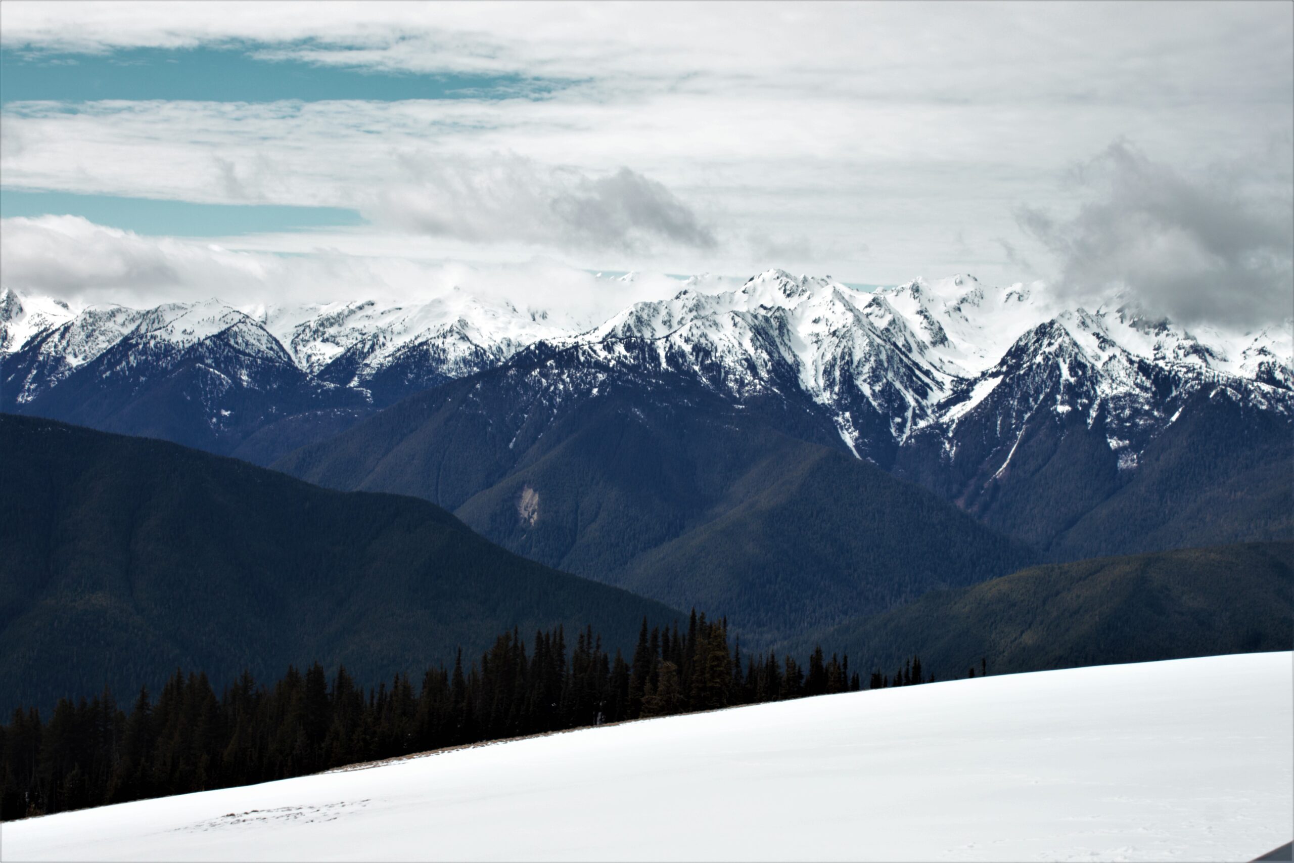 a view of snow covered mountains at Hurricane Ridge on the Olympic National Park Tour