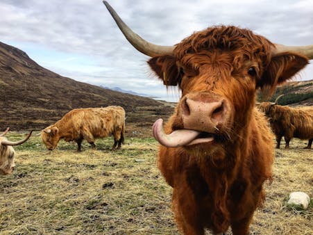 Highland Experience Tours - All You Need to Know BEFORE You Go (with Photos)
