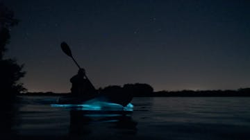 bioluminescence expeditions