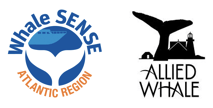 Whale Sense & Allied Whale