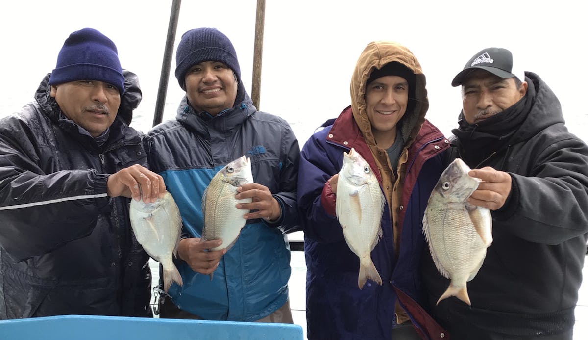 Montauk Porgy Fishing Trips