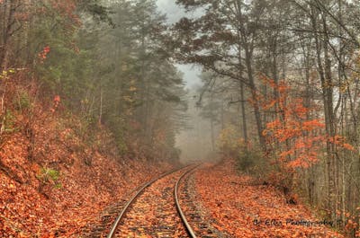 Discover Tennessee's Fall Colors on a Train Adventure!