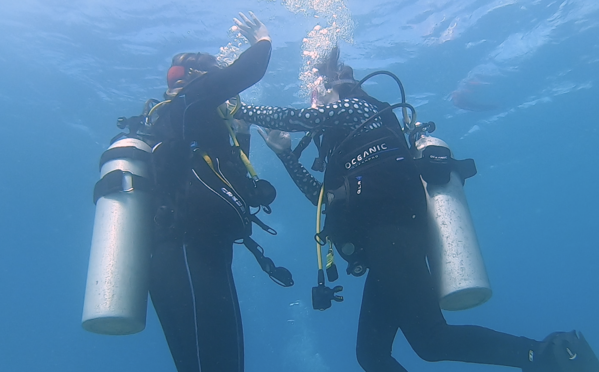 My Rescue Diving Course E-Learning With Hawaii Eco Divers Hawaii Eco Divers and Surf Adventures