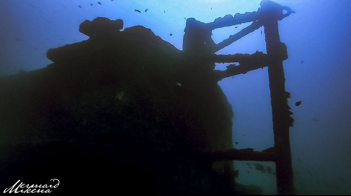 Diving To The Depths Of The Sea Tiger Shipwreck | Hawaii Eco Divers ...