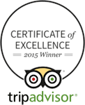 Certificate of excellence 2015