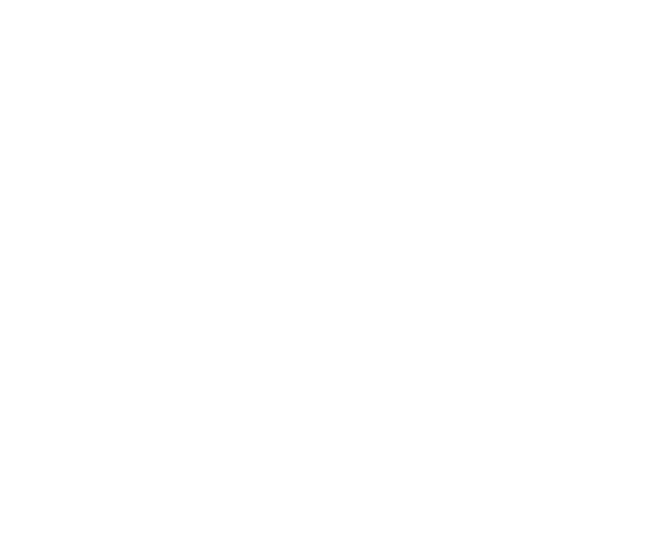 Enid Axe Logo White