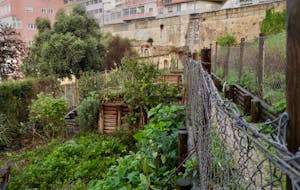 un jardin urbain dans une coline à Lisbonne