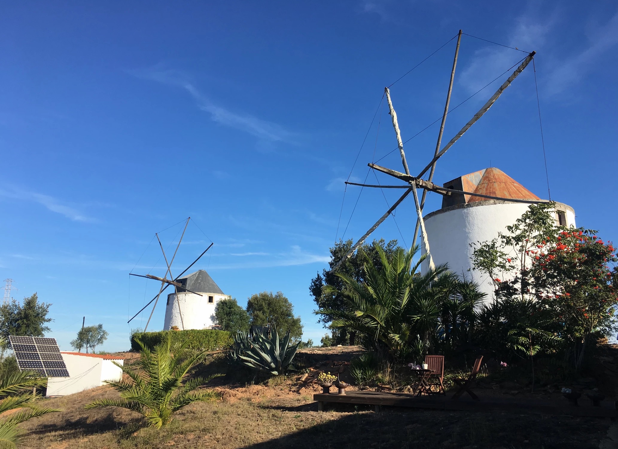 a windmill in the background