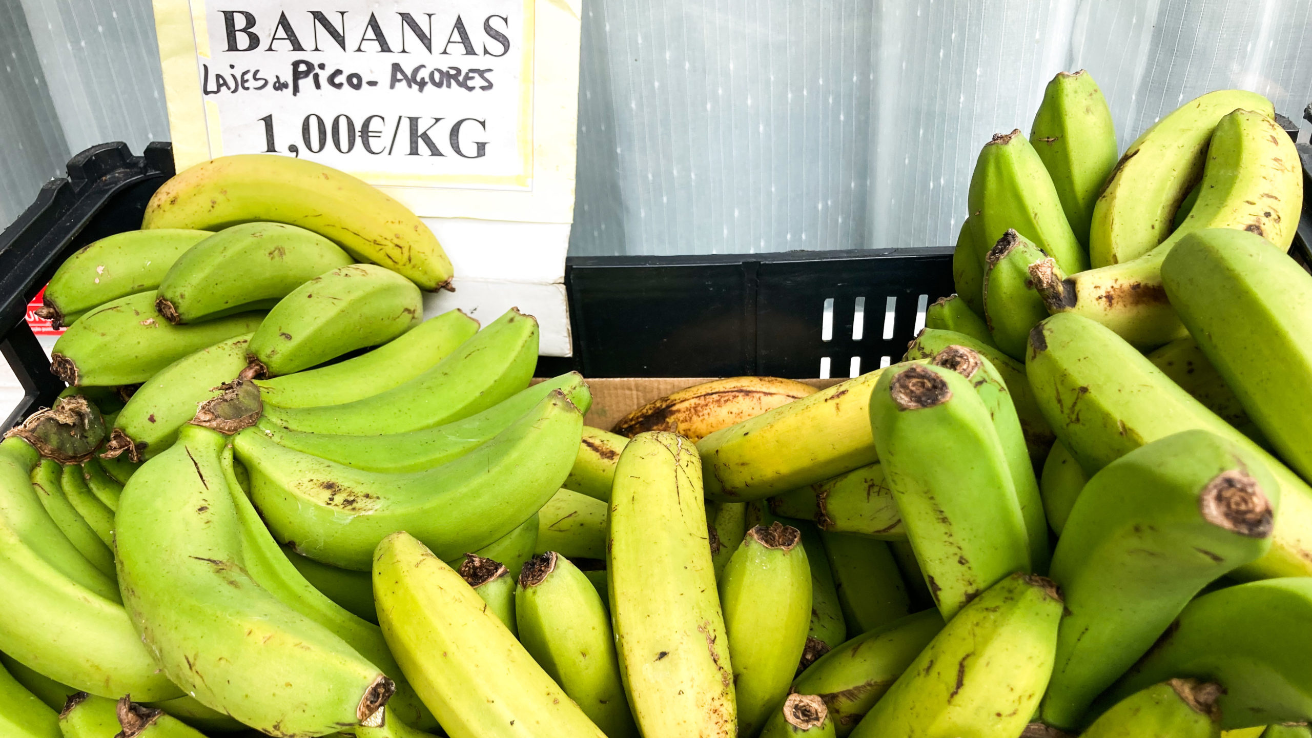 a bunch of green bananas