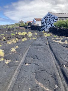 pico lava landscape with houses