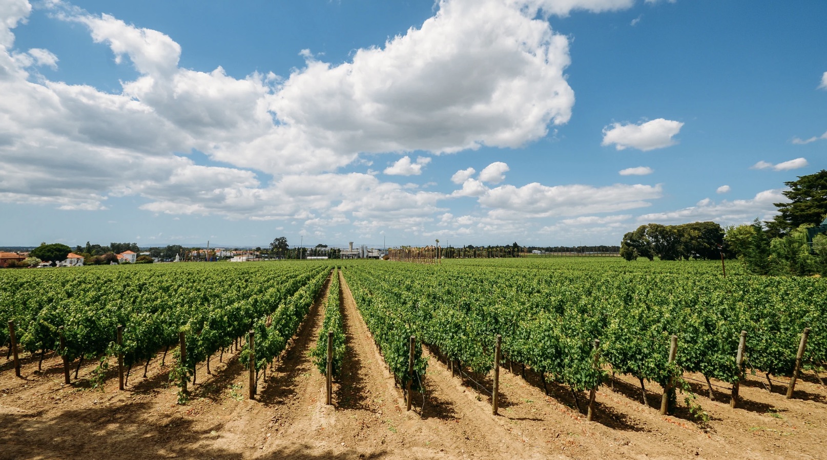 a view of a dirt field