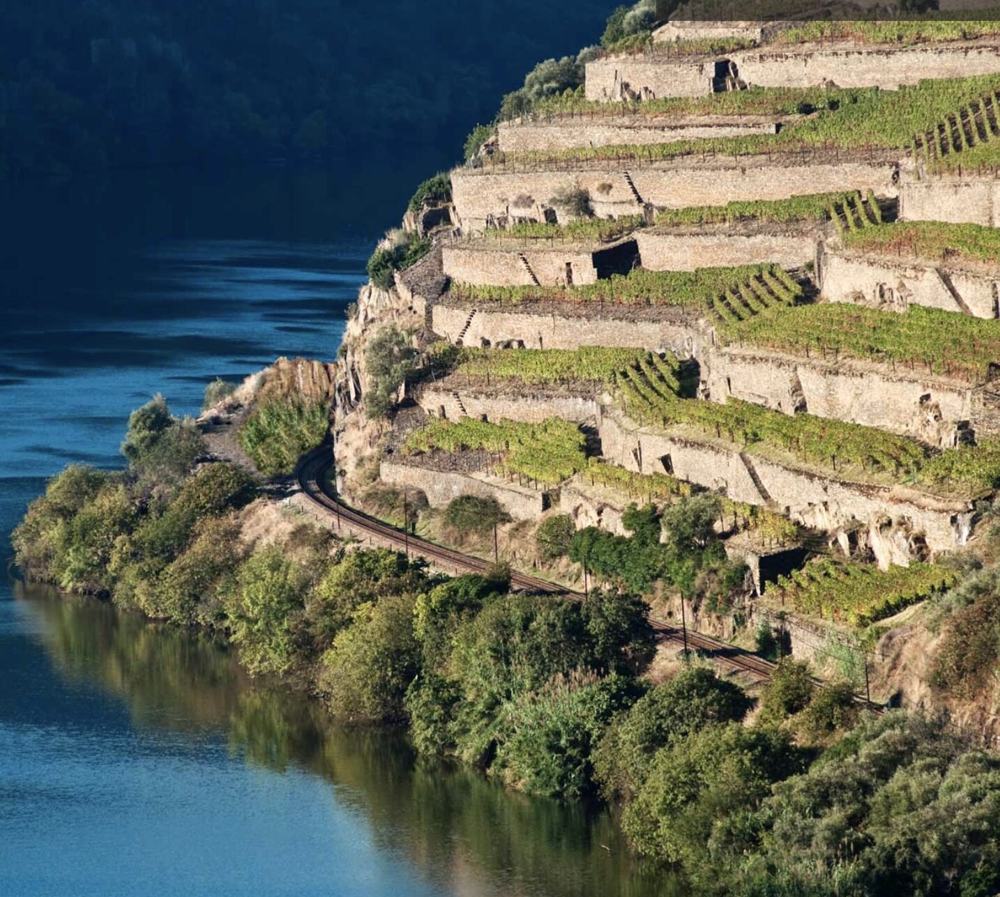 a close up of a hillside next to a body of water