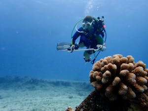 Cosnervation Diver doing surveys underwater