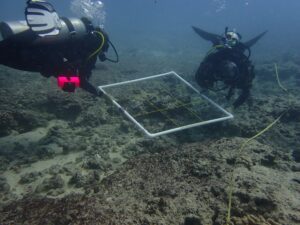 Scientific Divers underwater