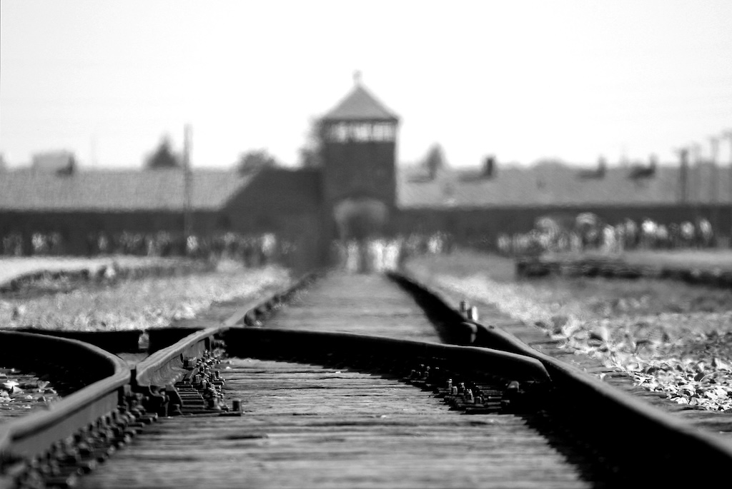 train tracks leading to a concentration camp