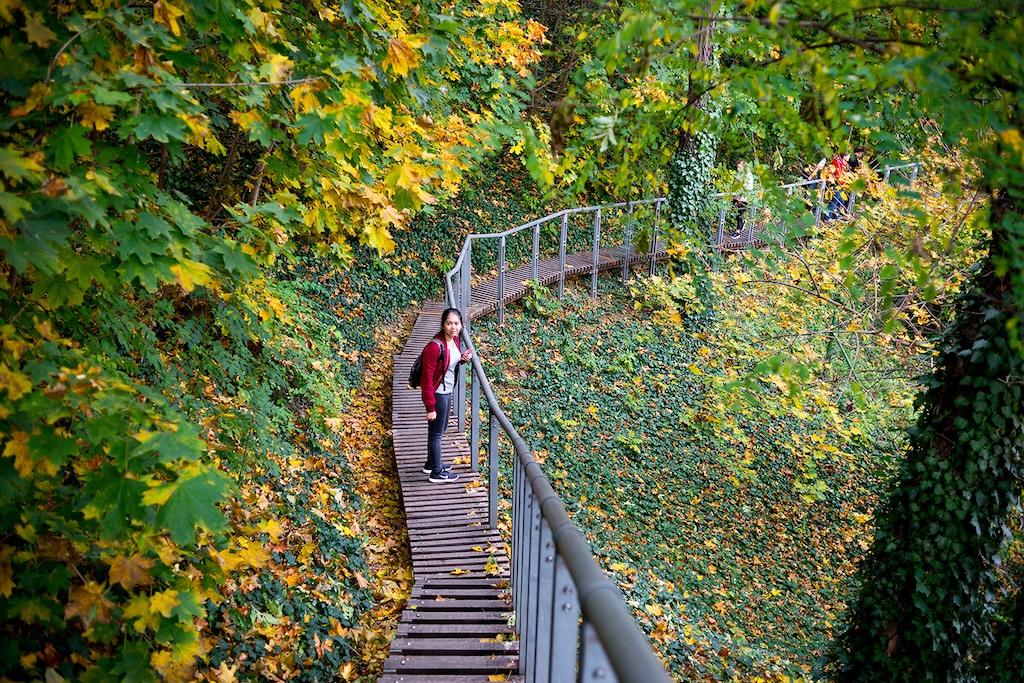 a person standing on a pathway in the Deer Moat in Prague