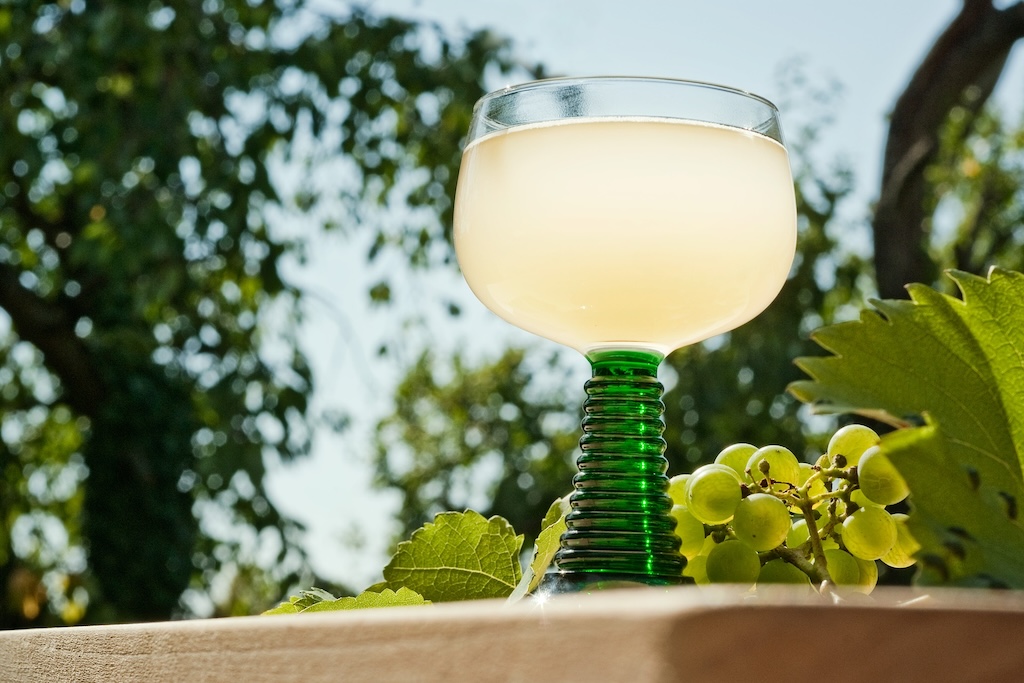 a glass of partly fermented Czech wine called burcak