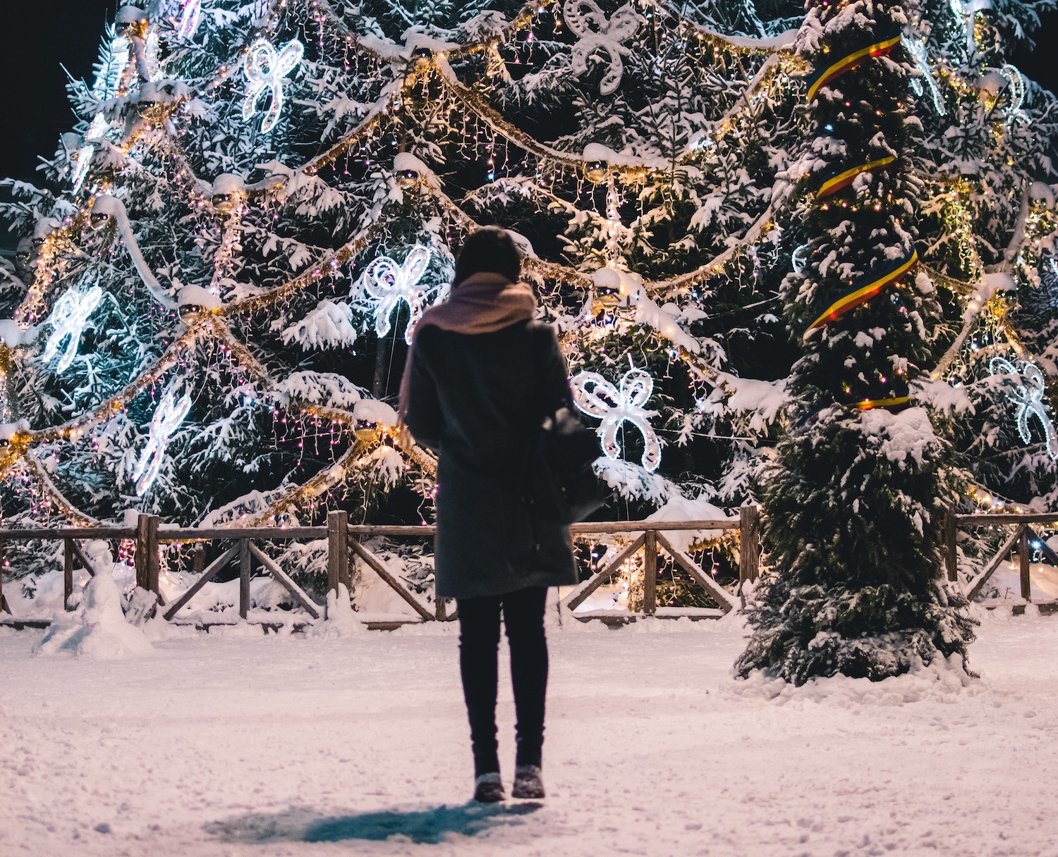 a person standing in front of a tree