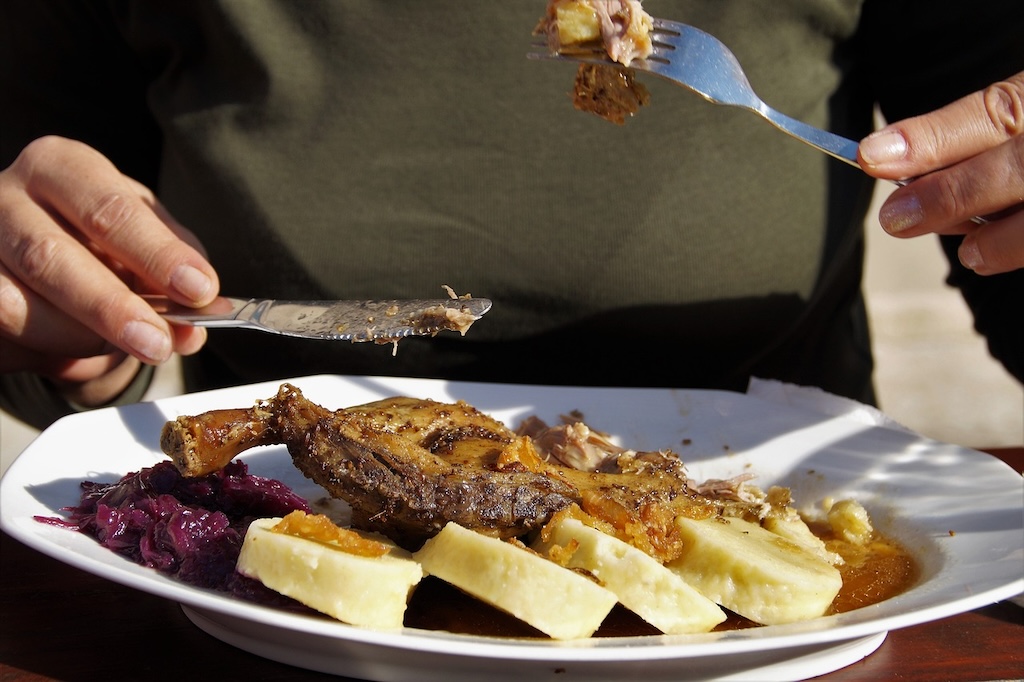 a person eating a well-prepared dish of traditional Czech roasted duck with red cabbage and potato dumplings