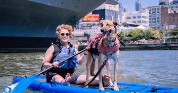 Dog Paddle  Manhattan Kayak Co