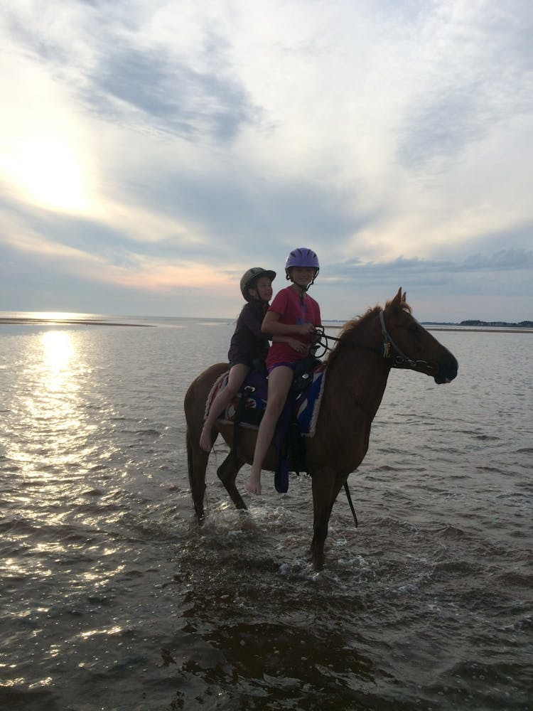a person riding a horse in a body of water