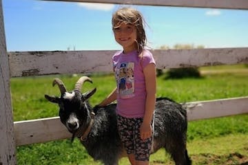 a little girl standing in front of a fence with a goat