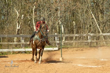 a person riding a horse in a fenced in area
