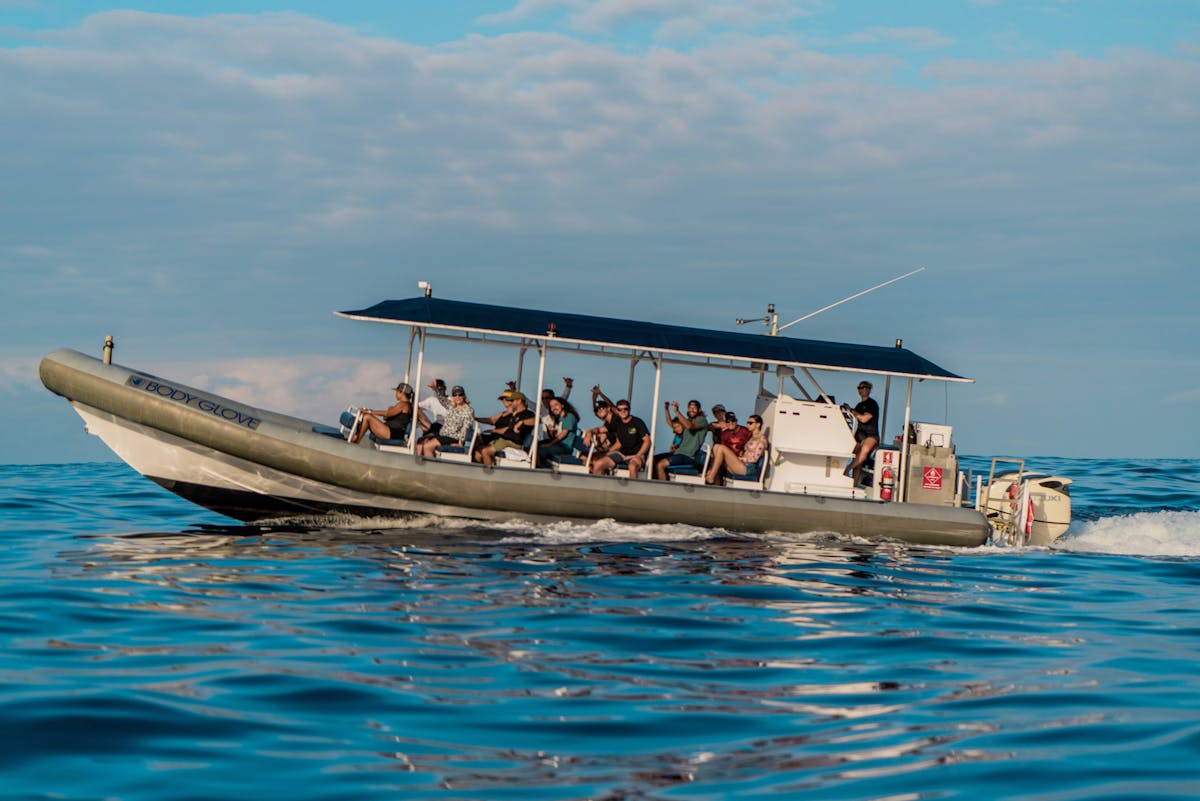 boat tours in kona