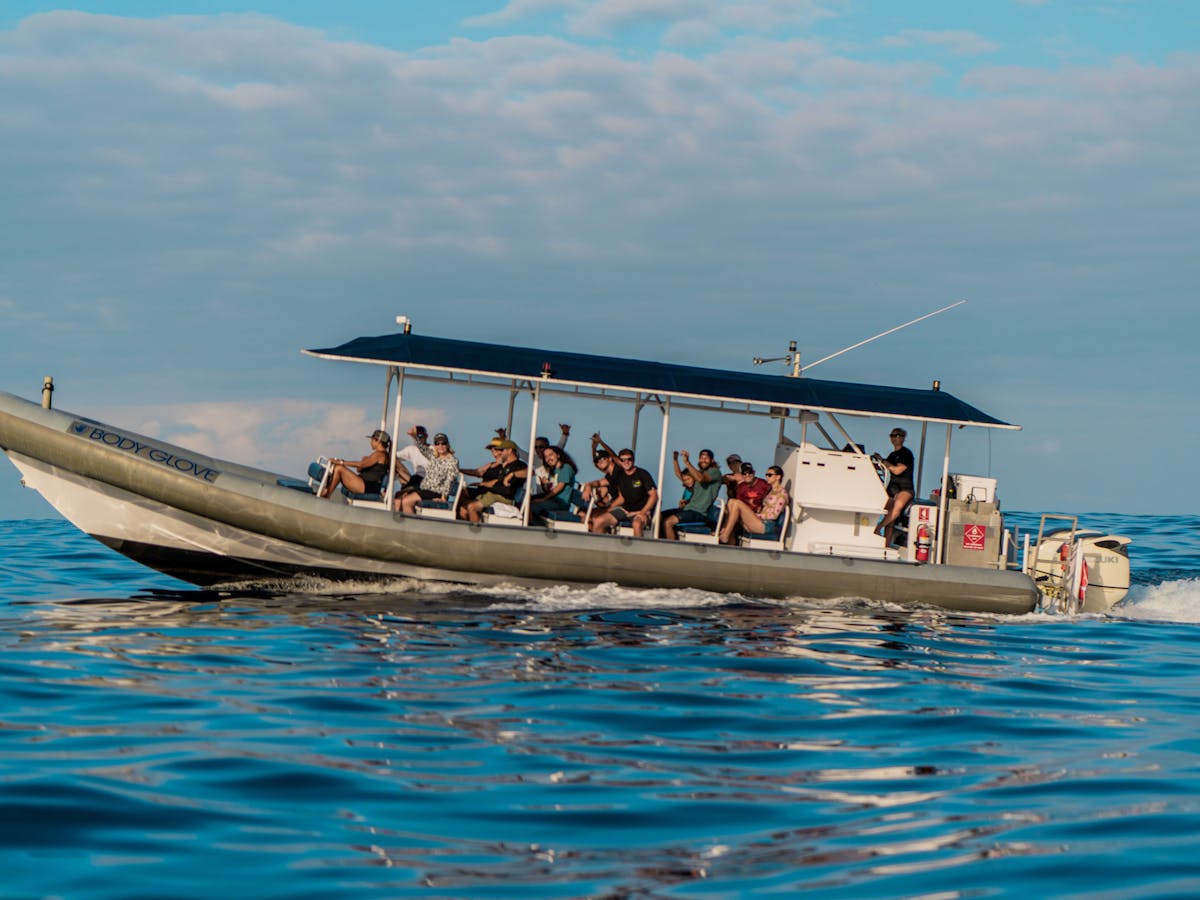 catamaran trips in kona hawaii
