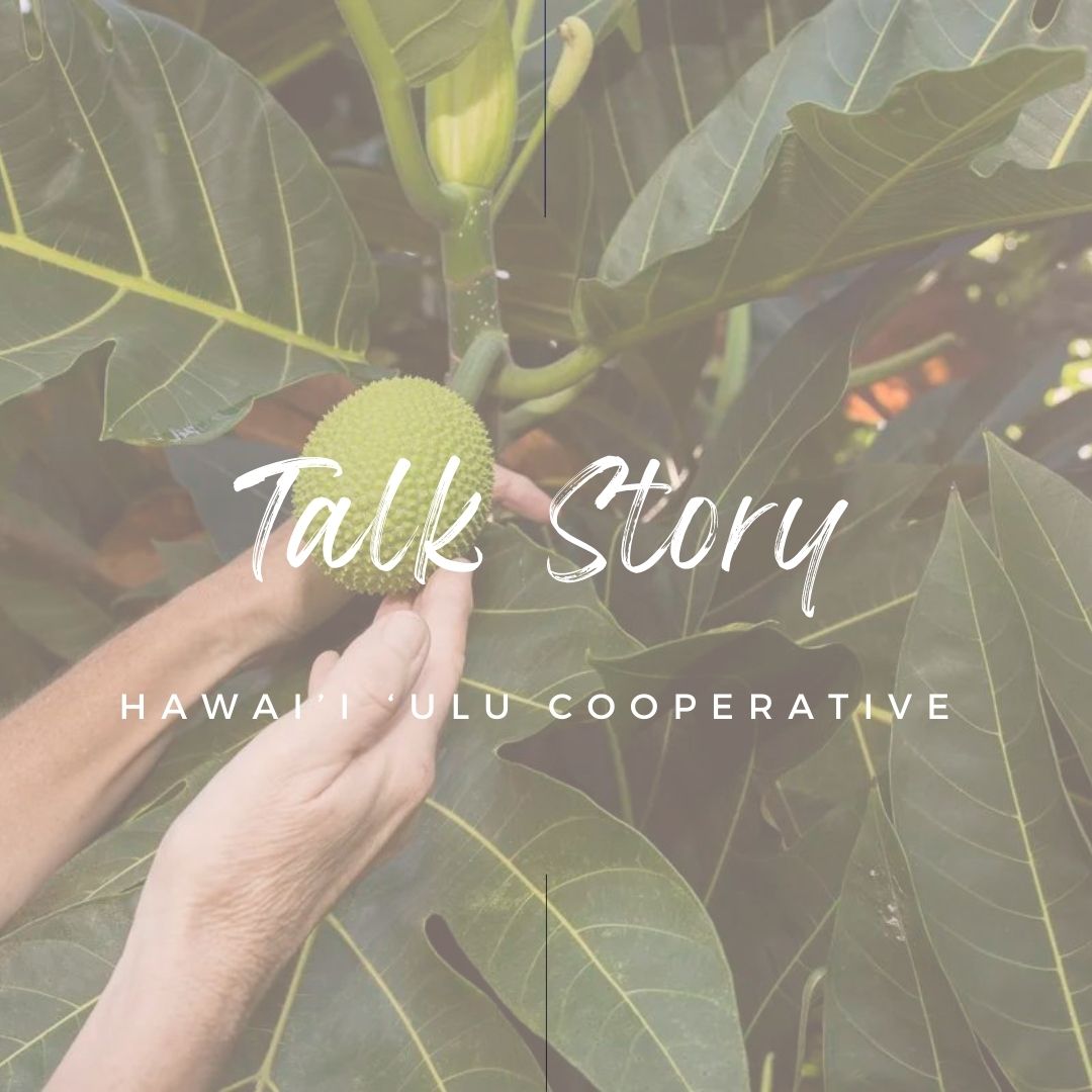 A new segment for our blog. Talk story with local organizations.