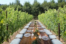 Dining in the vineyard in Piedmont