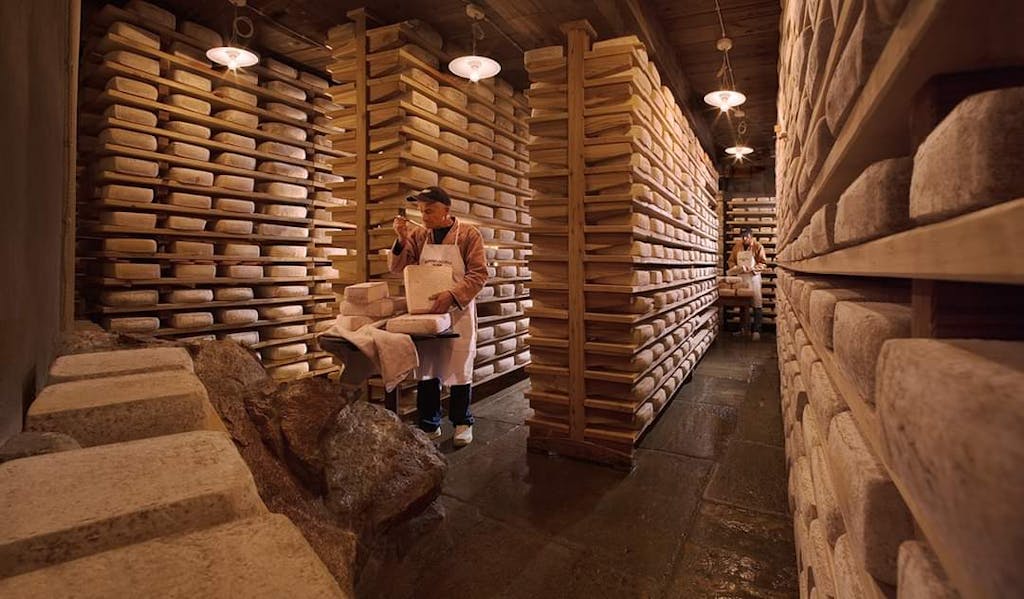 Cheese Experience and Tasting in Piedmont 