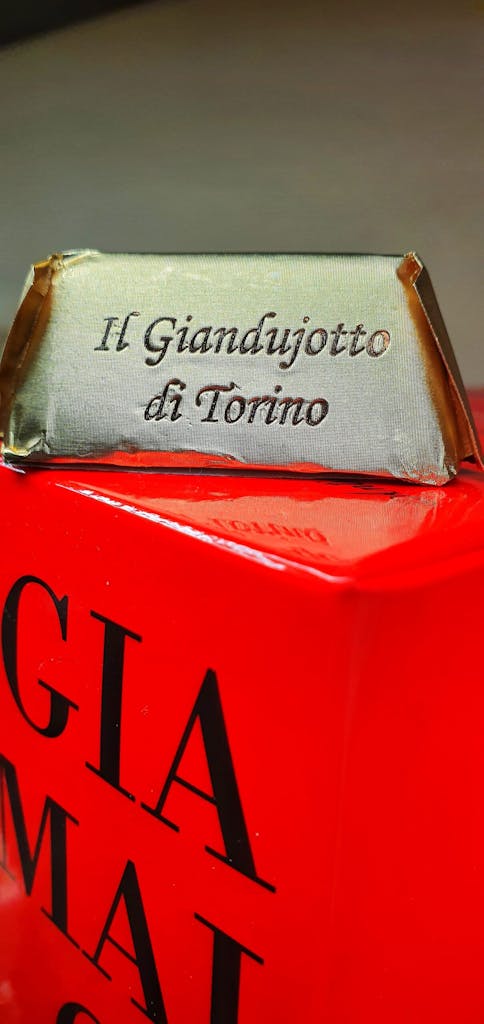a close up to Il Giandujotto di Torino