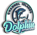 Channel Islands Dolphin Adventures