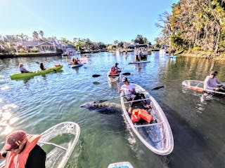 Crystal River Manatee Kayak Tour