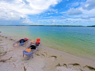 Shell Key Preserve  Visit St Petersburg Clearwater Florida
