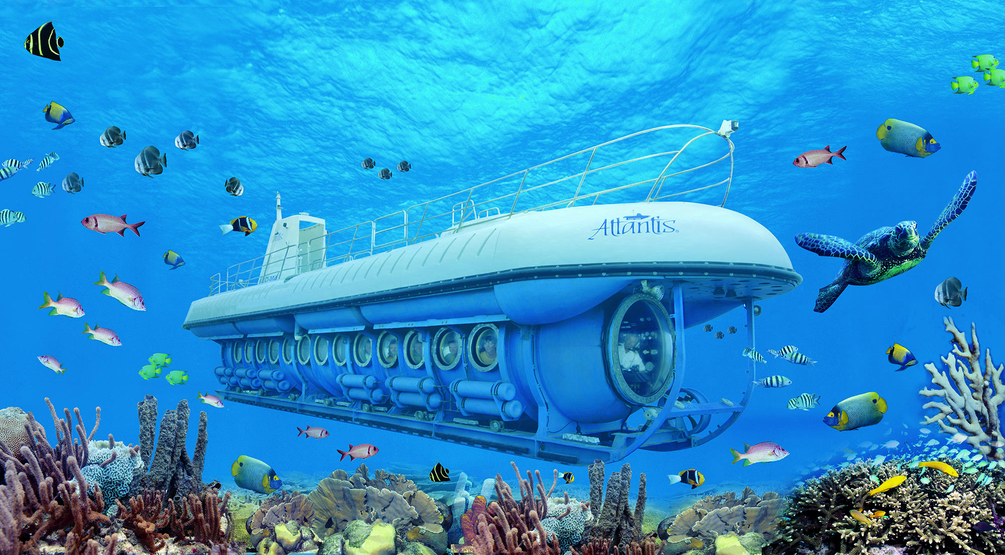 Atlantis Submarine Tour In Aruba | De Palm Tours