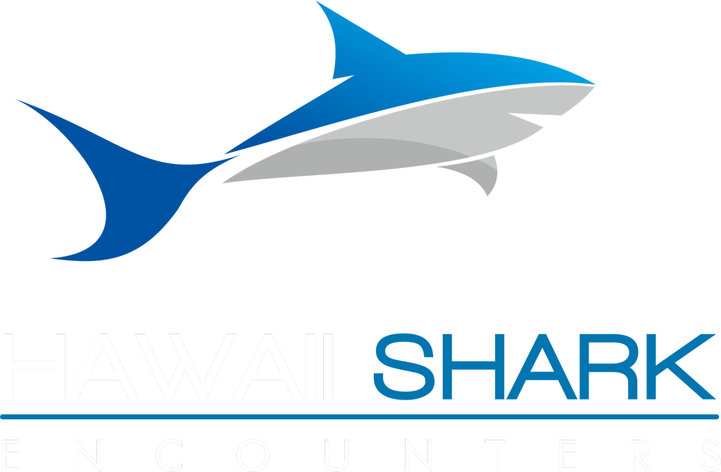 Hawaii Shark Encounters | Swim with Sharks in Oahu, HI