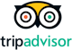 TripAdvisor owl logo