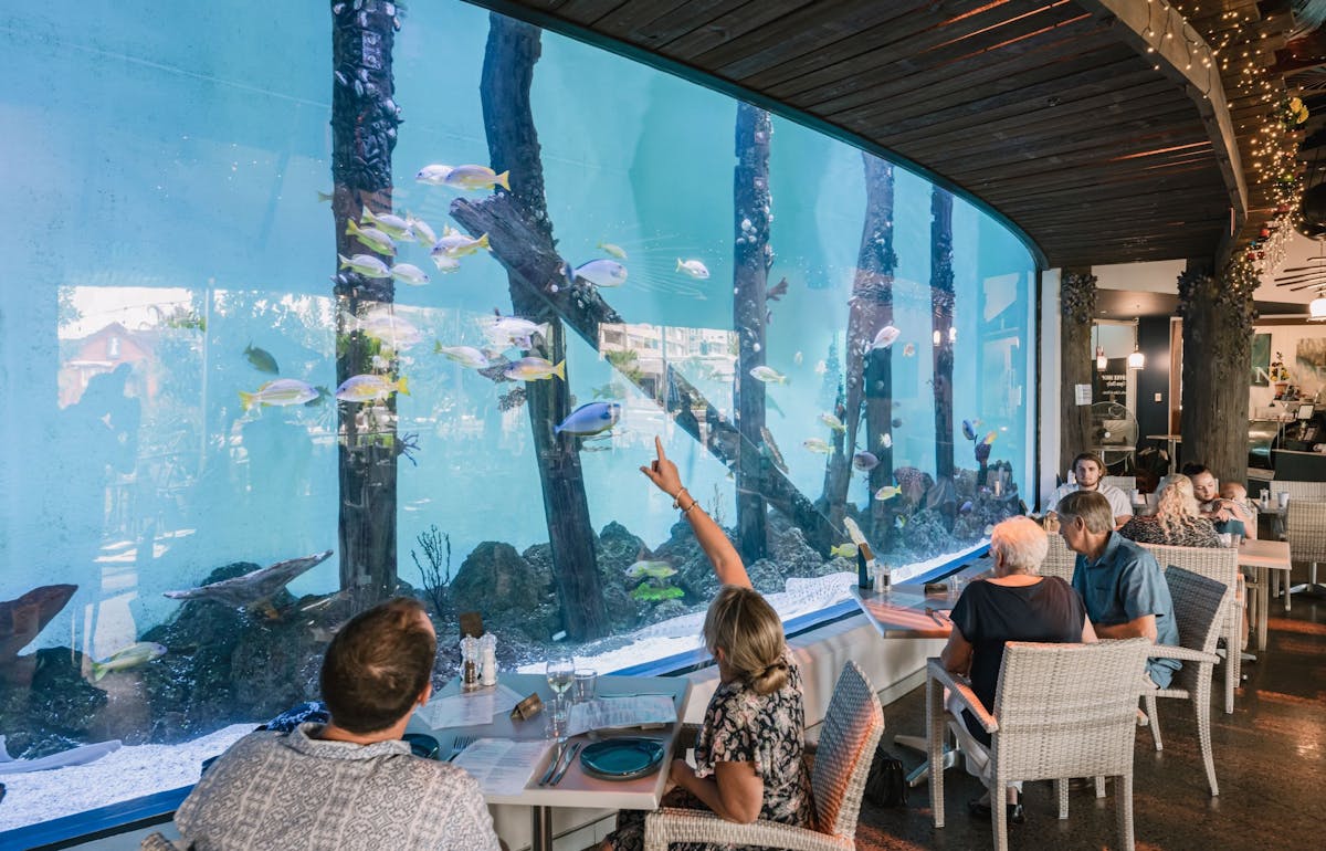 Can We Keep Aquarium In Dining Room