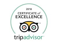 2018 Certificate of Excellence badge
