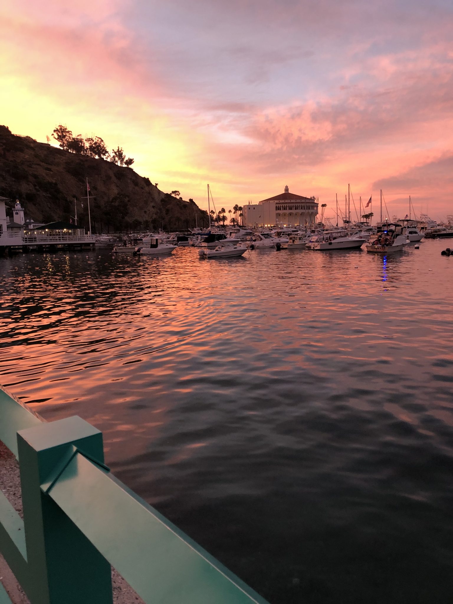 Guide to a perfect Catalina day trip